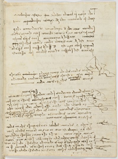 Codice sul volo degli uccelli, c. 1505-06, manoscritto su carta, cc. 18, foglio 10 recto da Leonardo da Vinci